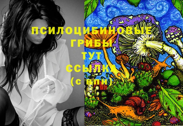 PSILOCYBIN Зеленокумск