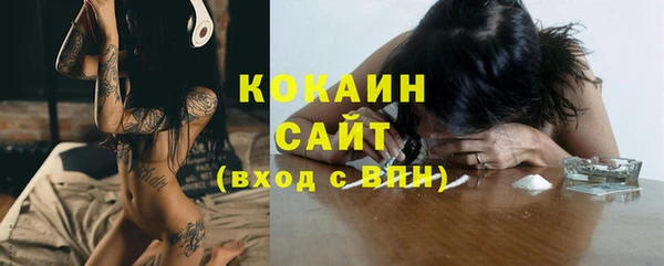прущая мука Ельня
