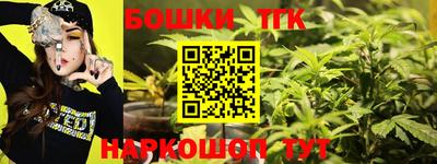 прущие грибы Кандалакша