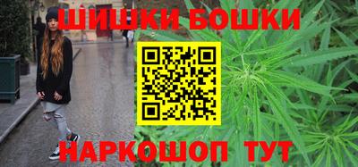 прущие грибы Кандалакша