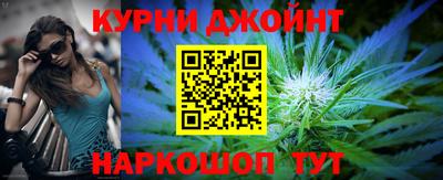 прущие грибы Кандалакша