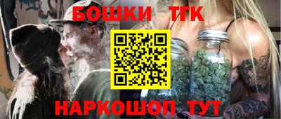 прущие грибы Кандалакша