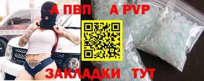 прущие грибы Кандалакша