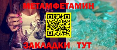 прущие грибы Кандалакша