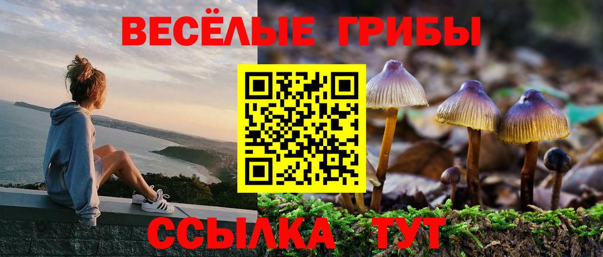 Галлюциногенные грибы MAGIC MUSHROOMS  Галлюциногенные грибы Psilocybe  Вход с VPN  Минусинск 