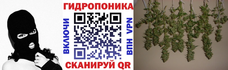 Бошки Шишки SATIVA & INDICA  Минусинск 